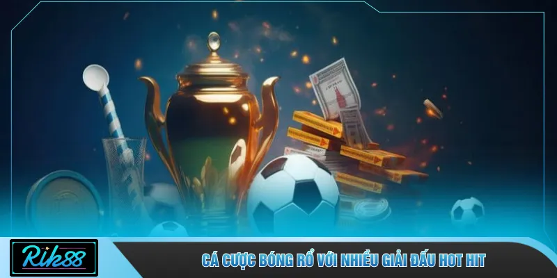 Cá cược bóng rổ với nhiều giải đấu hot hit