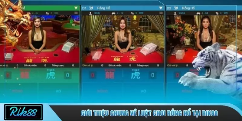 Giới thiệu chung về luật chơi rồng hổ tại RIK88