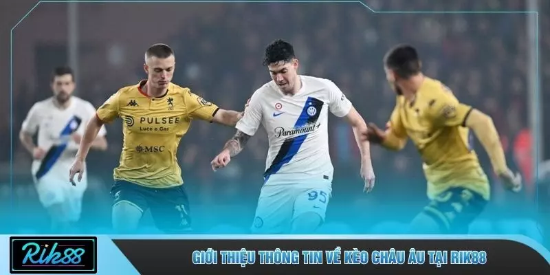 Giới thiệu thông tin về kèo châu Âu tại RIK88