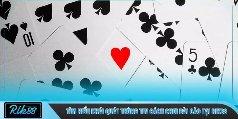Tìm hiểu khái quát thông tin cách chơi bài cào tại RIK88